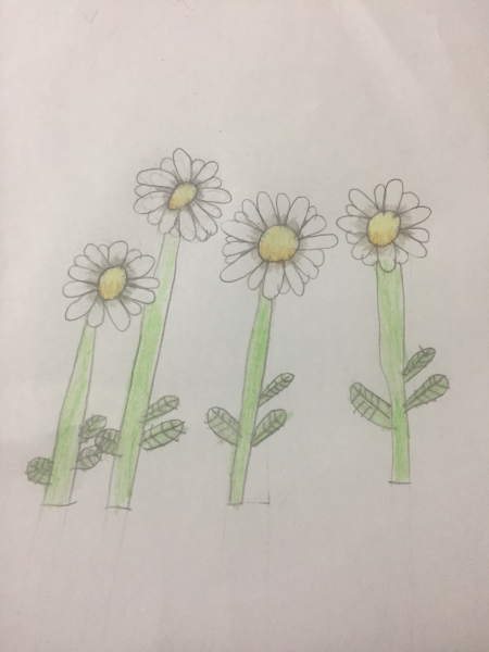 Untitled.png